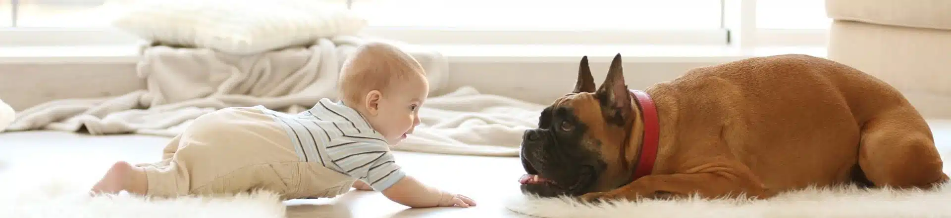 תינוק משחק עם כלב