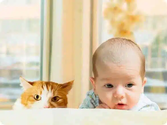תינוק וחתול שוכבים אחד ליד השני