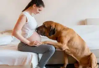 אישה בהריון עם הכלב שלה