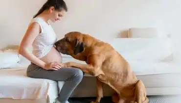 אישה בהריון עם הכלב שלה